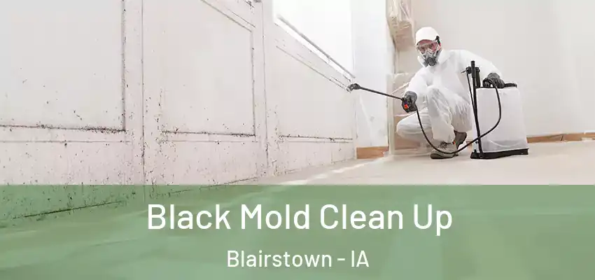 Black Mold Clean Up Blairstown - IA