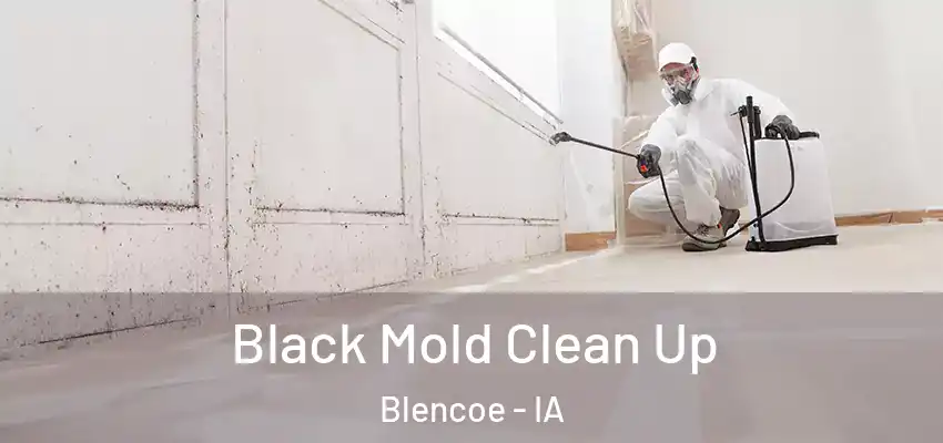 Black Mold Clean Up Blencoe - IA