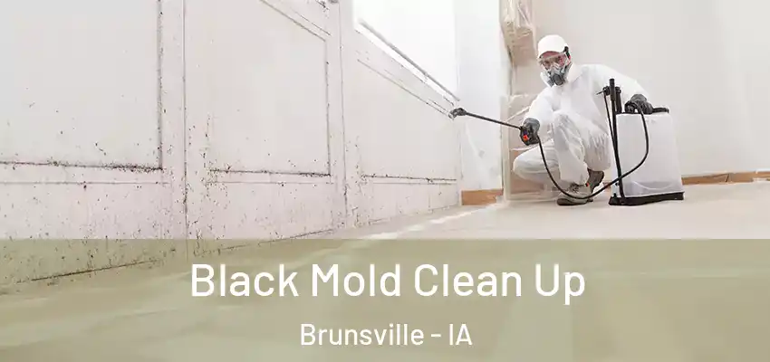Black Mold Clean Up Brunsville - IA