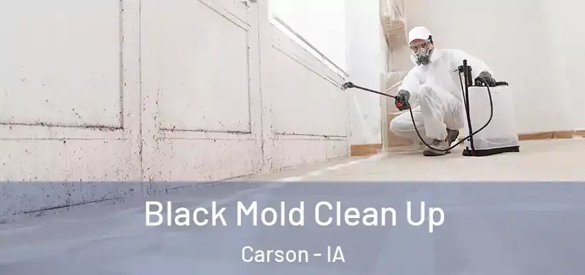 Black Mold Clean Up Carson - IA