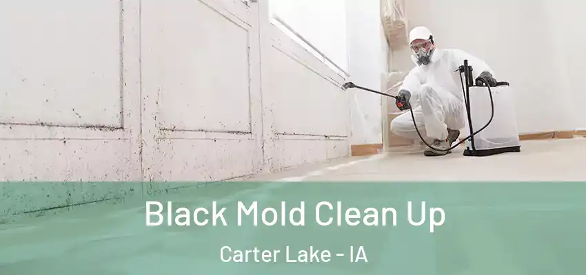 Black Mold Clean Up Carter Lake - IA