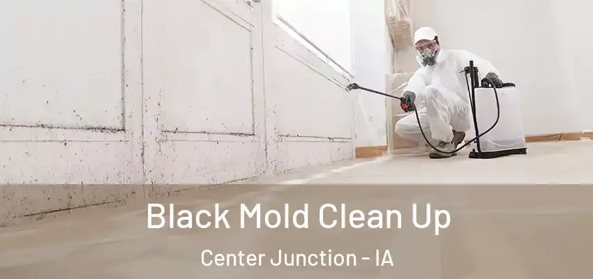 Black Mold Clean Up Center Junction - IA