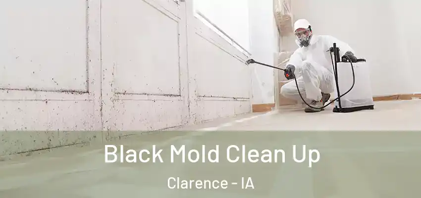 Black Mold Clean Up Clarence - IA