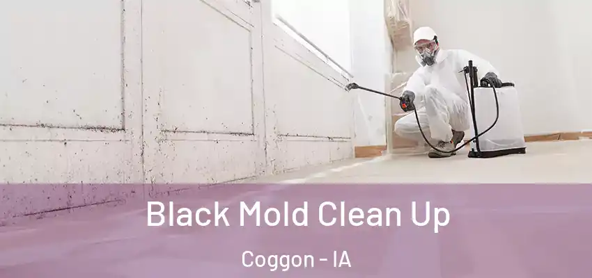  Black Mold Clean Up Coggon - IA