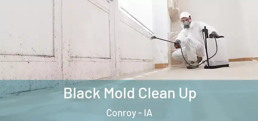  Black Mold Clean Up Conroy - IA