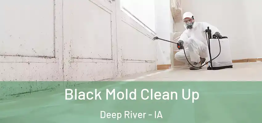 Black Mold Clean Up Deep River - IA