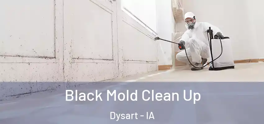  Black Mold Clean Up Dysart - IA