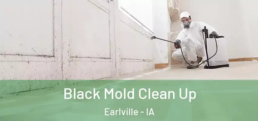 Black Mold Clean Up Earlville - IA