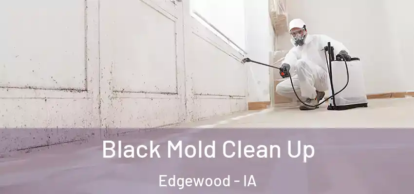 Black Mold Clean Up Edgewood - IA