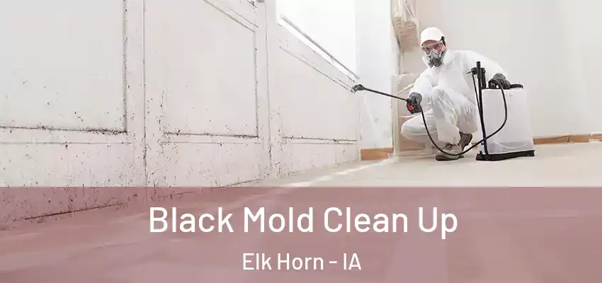  Black Mold Clean Up Elk Horn - IA