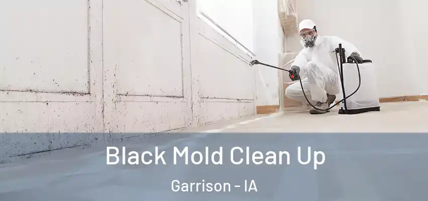  Black Mold Clean Up Garrison - IA