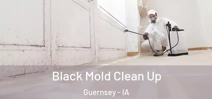  Black Mold Clean Up Guernsey - IA