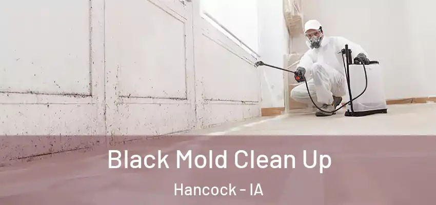 Black Mold Clean Up Hancock - IA
