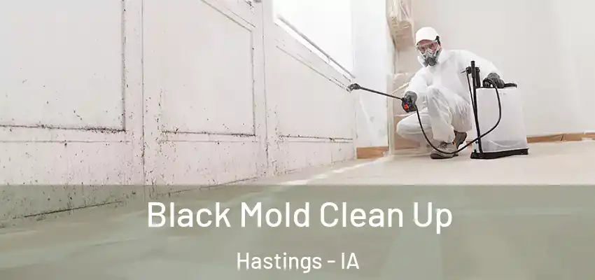  Black Mold Clean Up Hastings - IA