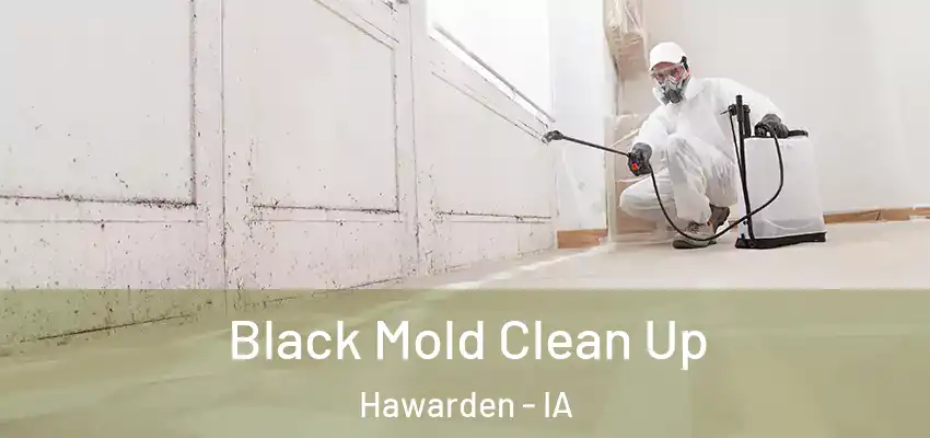 Black Mold Clean Up Hawarden - IA