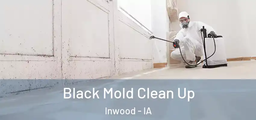 Black Mold Clean Up Inwood - IA