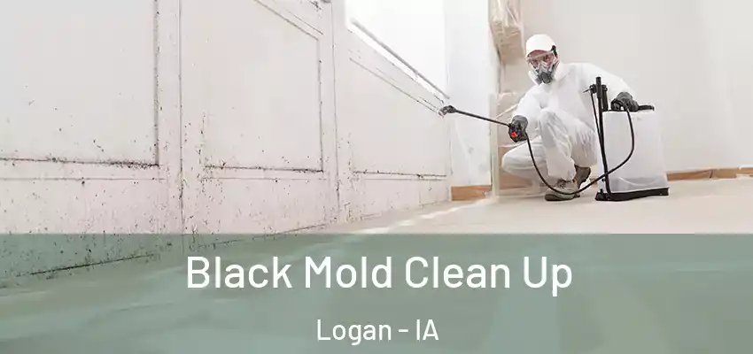  Black Mold Clean Up Logan - IA