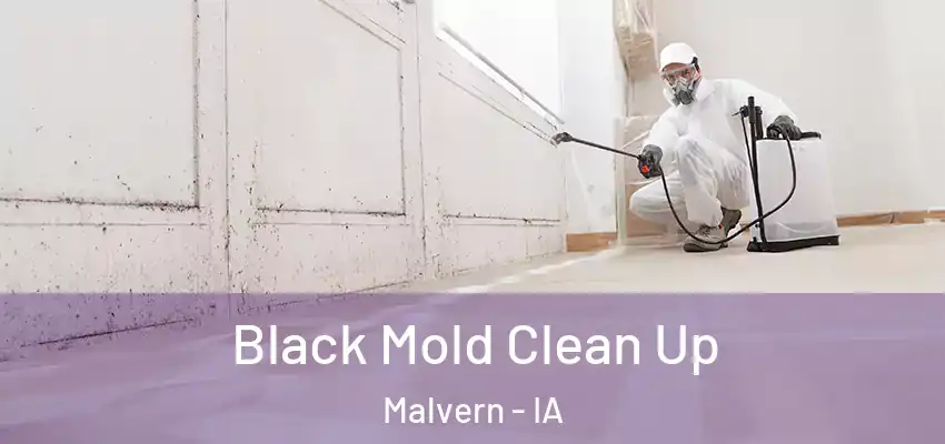  Black Mold Clean Up Malvern - IA