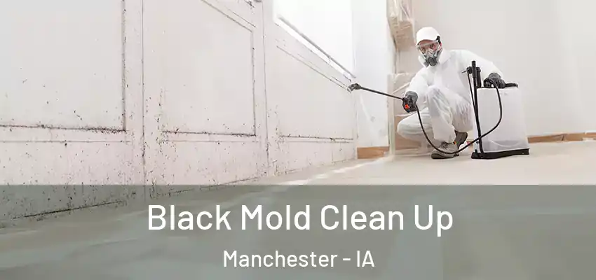  Black Mold Clean Up Manchester - IA