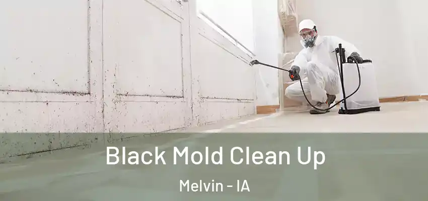  Black Mold Clean Up Melvin - IA