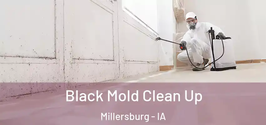 Black Mold Clean Up Millersburg - IA