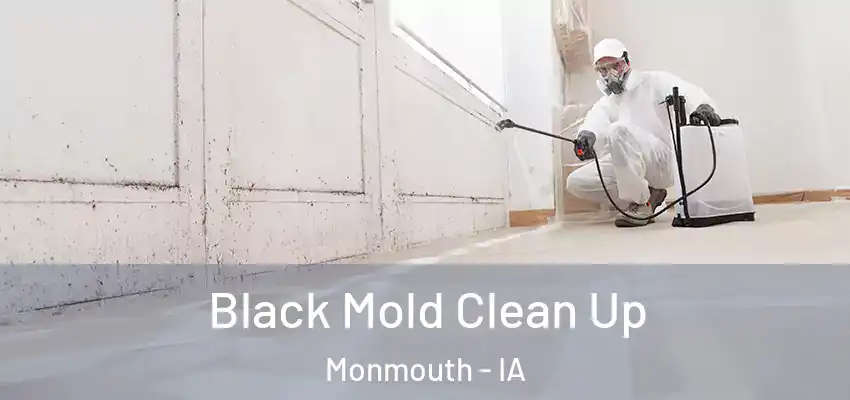 Black Mold Clean Up Monmouth - IA