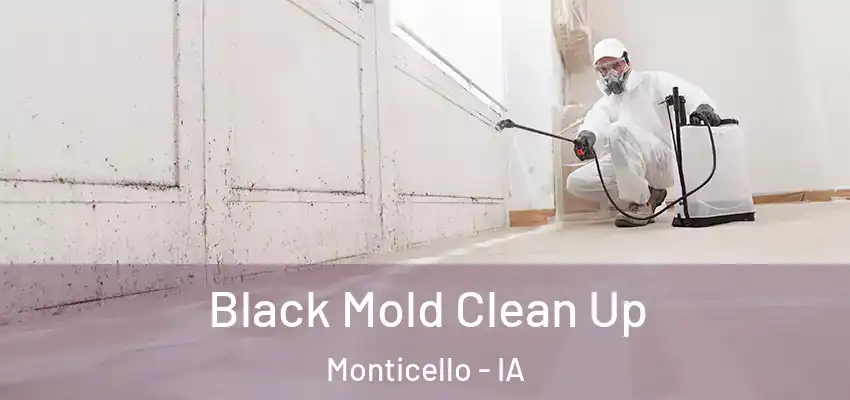 Black Mold Clean Up Monticello - IA