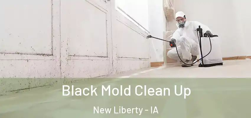 Black Mold Clean Up New Liberty - IA