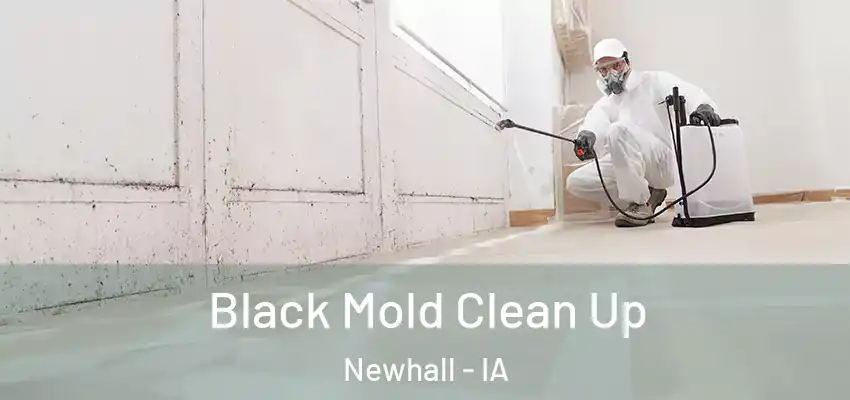  Black Mold Clean Up Newhall - IA