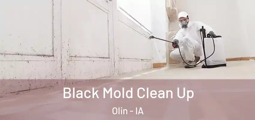 Black Mold Clean Up Olin - IA