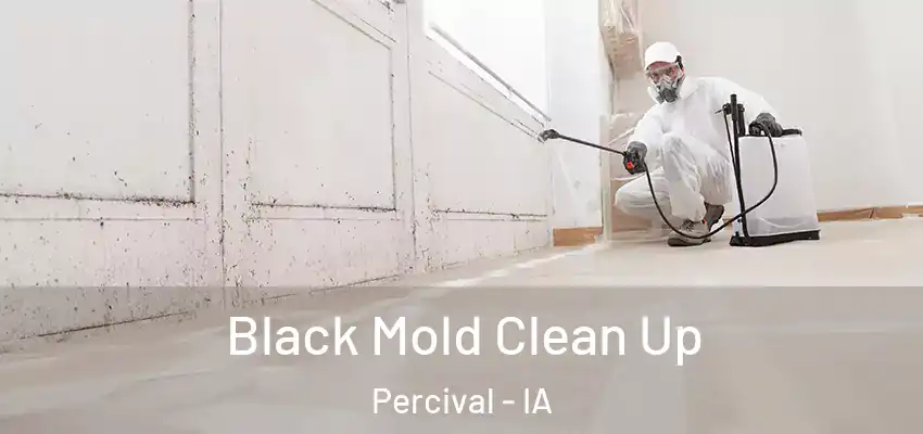  Black Mold Clean Up Percival - IA
