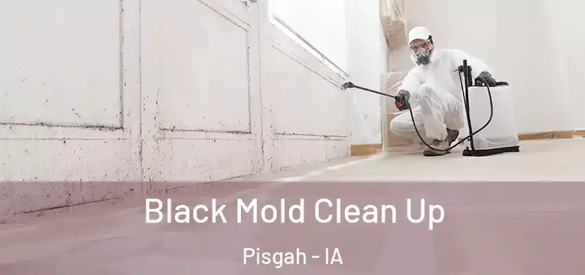  Black Mold Clean Up Pisgah - IA