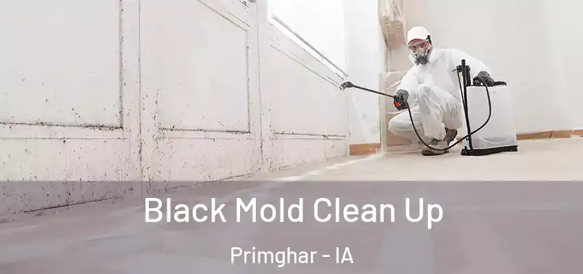  Black Mold Clean Up Primghar - IA