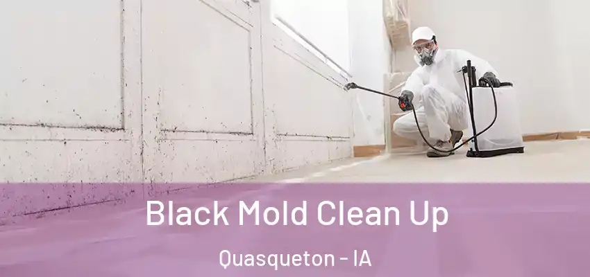  Black Mold Clean Up Quasqueton - IA