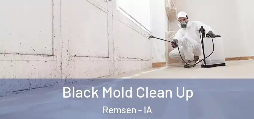 Black Mold Clean Up Remsen - IA