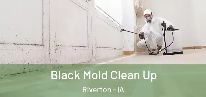  Black Mold Clean Up Riverton - IA