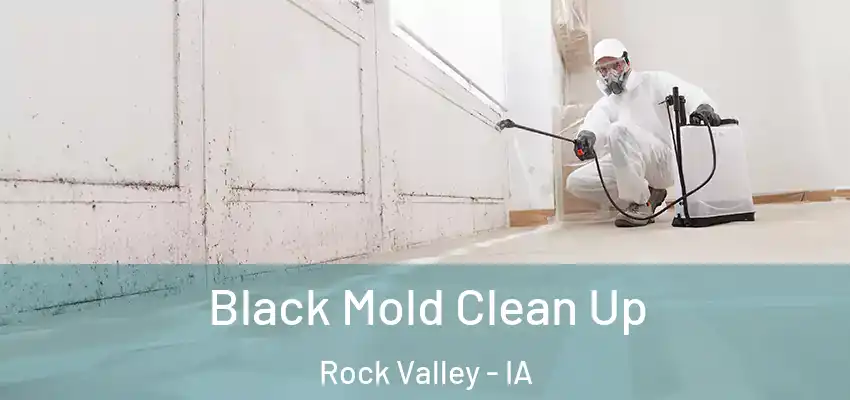  Black Mold Clean Up Rock Valley - IA