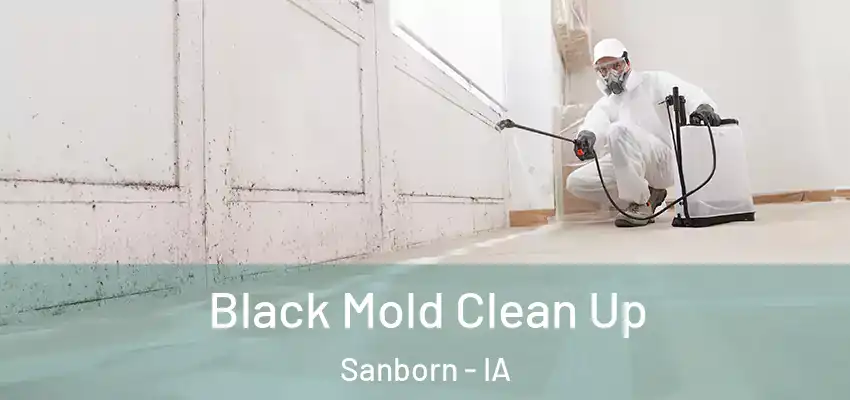  Black Mold Clean Up Sanborn - IA