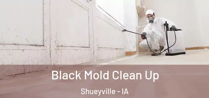  Black Mold Clean Up Shueyville - IA