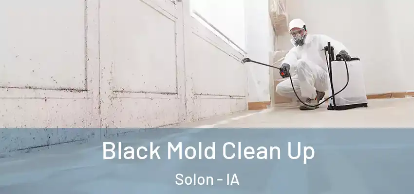  Black Mold Clean Up Solon - IA