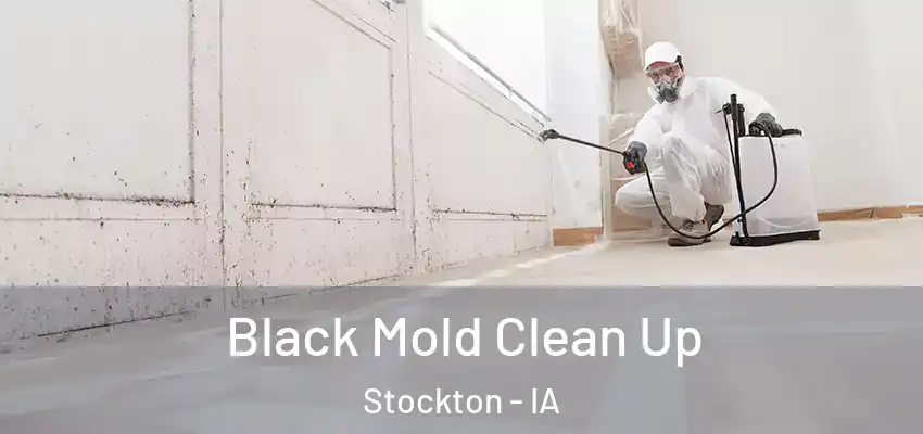 Black Mold Clean Up Stockton - IA