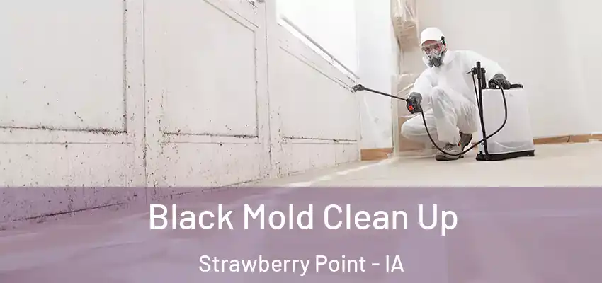 Black Mold Clean Up Strawberry Point - IA