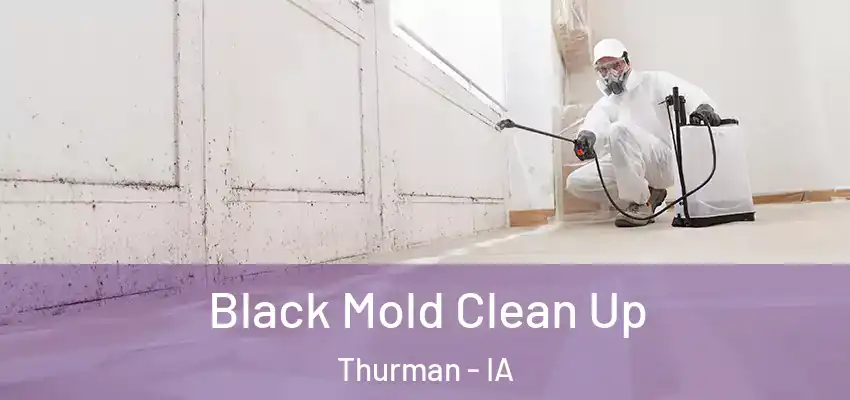 Black Mold Clean Up Thurman - IA