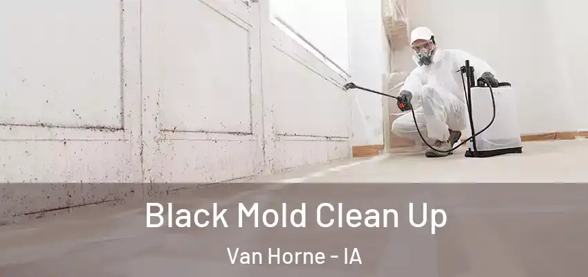Black Mold Clean Up Van Horne - IA