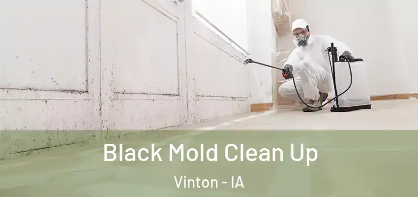 Black Mold Clean Up Vinton - IA