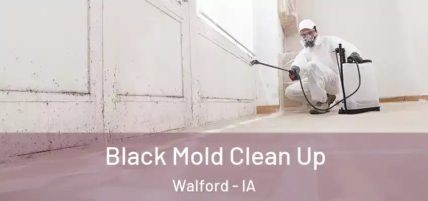 Black Mold Clean Up Walford - IA