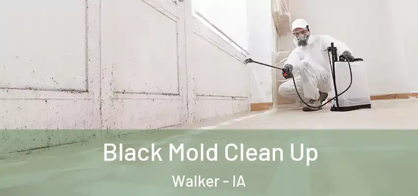  Black Mold Clean Up Walker - IA