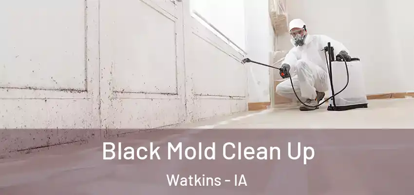  Black Mold Clean Up Watkins - IA