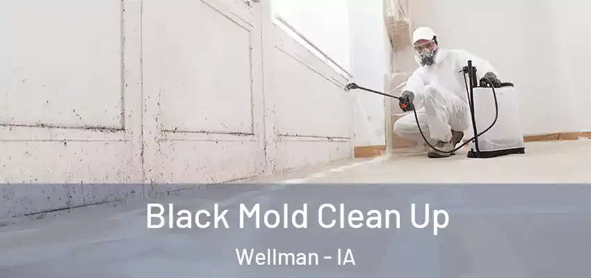  Black Mold Clean Up Wellman - IA