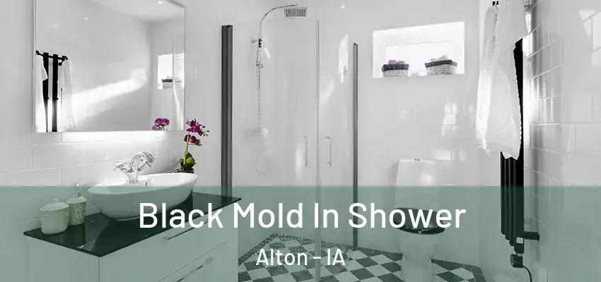 Black Mold In Shower Alton - IA